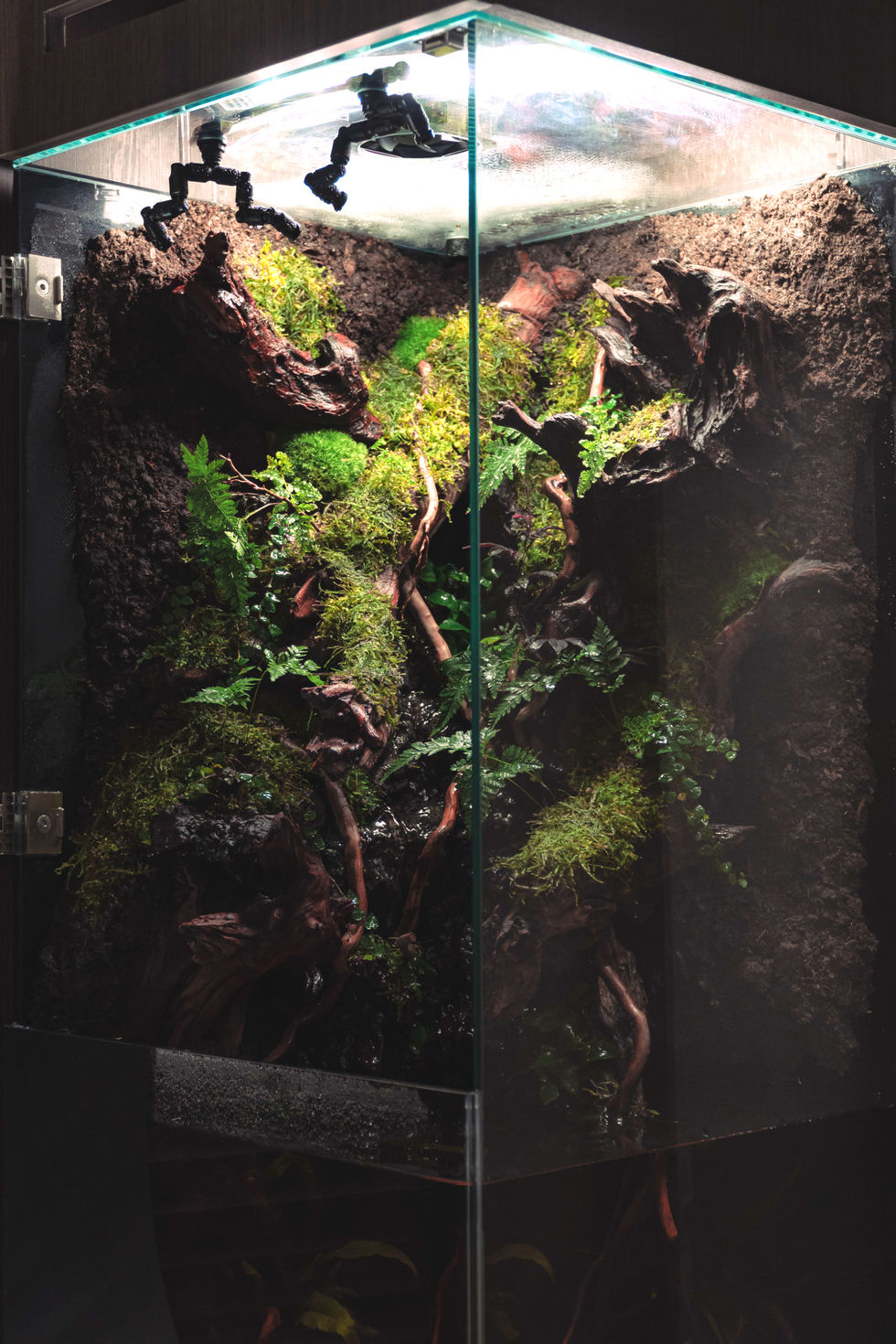 2-DSC05032 2_edited.jpg