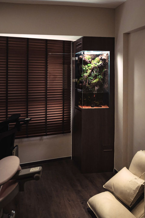 Paludarium | Canopy Crest