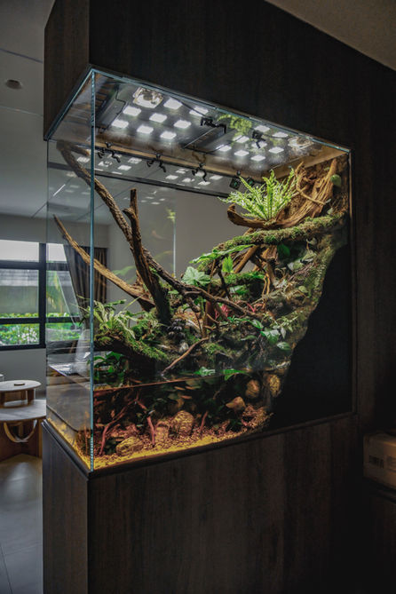 Peninsula Paludarium | Ascend