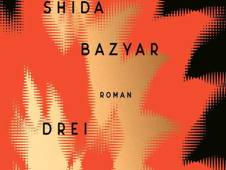 Gemeinsam lesen und schauen: neu Leseclub in Kooperation mit Schauspielhaus Zürich