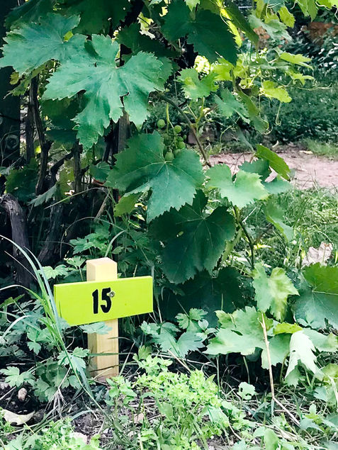 Collectif Pourquoi Pas signalétique Jardin de la Passion Vénissieux