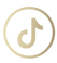 TikTokicon.png