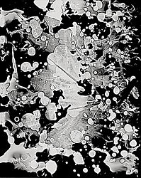 Scan 023 #Bob2a-studio.jpg