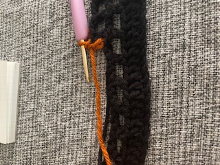 Row 3 color change of crochet project
