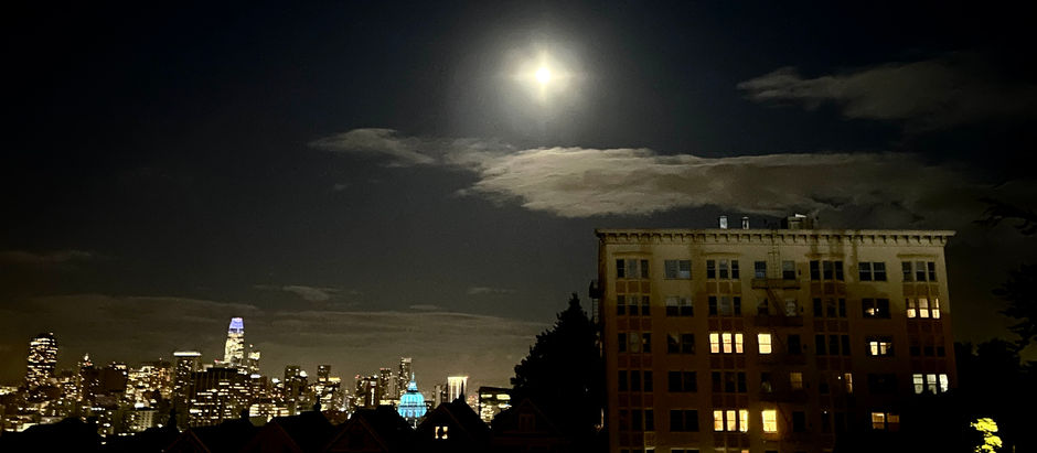 photo of the city in the night from the park
