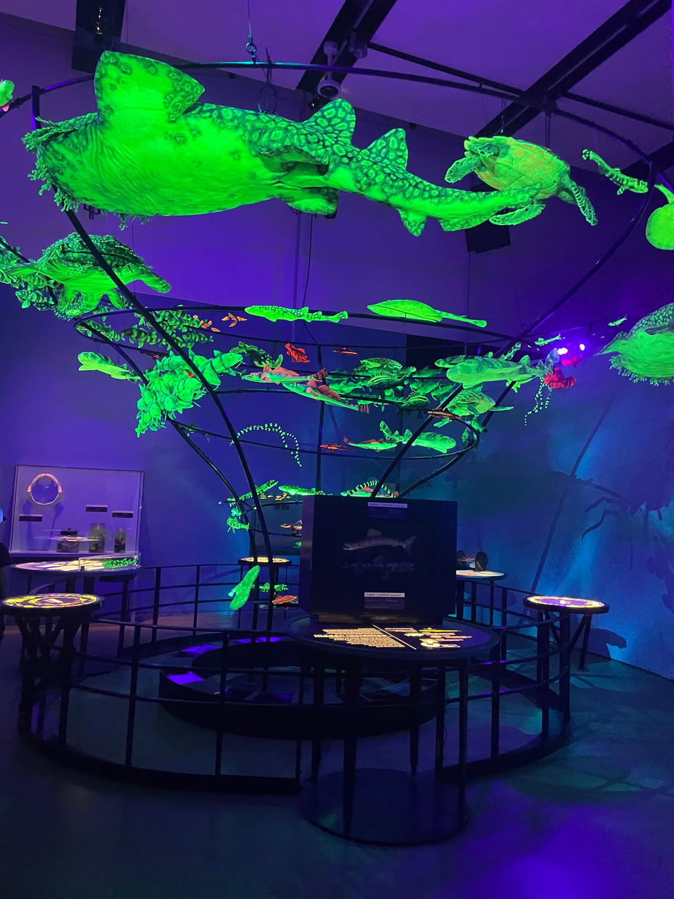 Academy of Sciences, Unseen Oceans