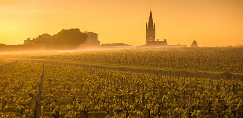 NJ Wines 195.jpg