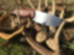 Thumbnail: The Montana