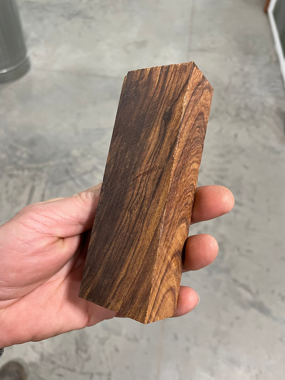 Thumbnail: Desert Ironwood