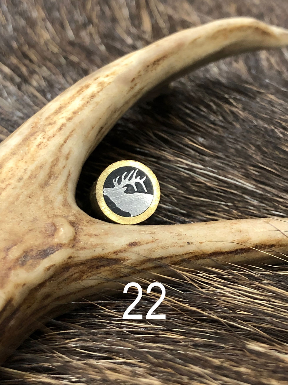 Thumbnail: Wildlife Decorative Pins