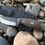 Thumbnail: Woodsman's Shank