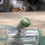 Thumbnail: Trees/ Flowers Decorative Pins