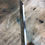 Thumbnail: Kiritsuke