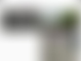 小红书账号出炉！Little Red Book Account is here! 