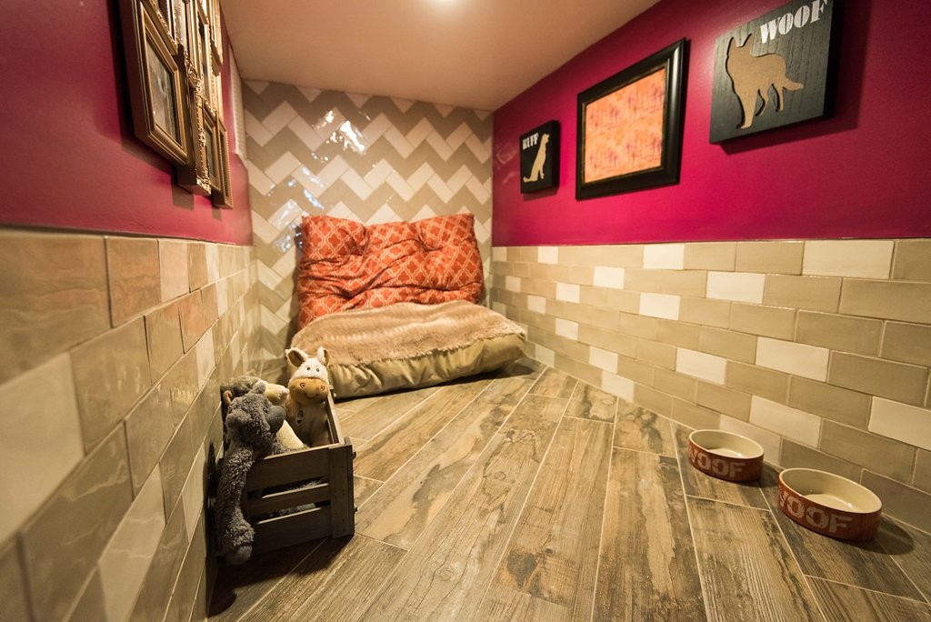 life of riley pet hotel & spa