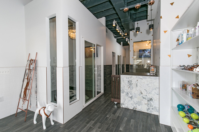 life of riley pet hotel & spa