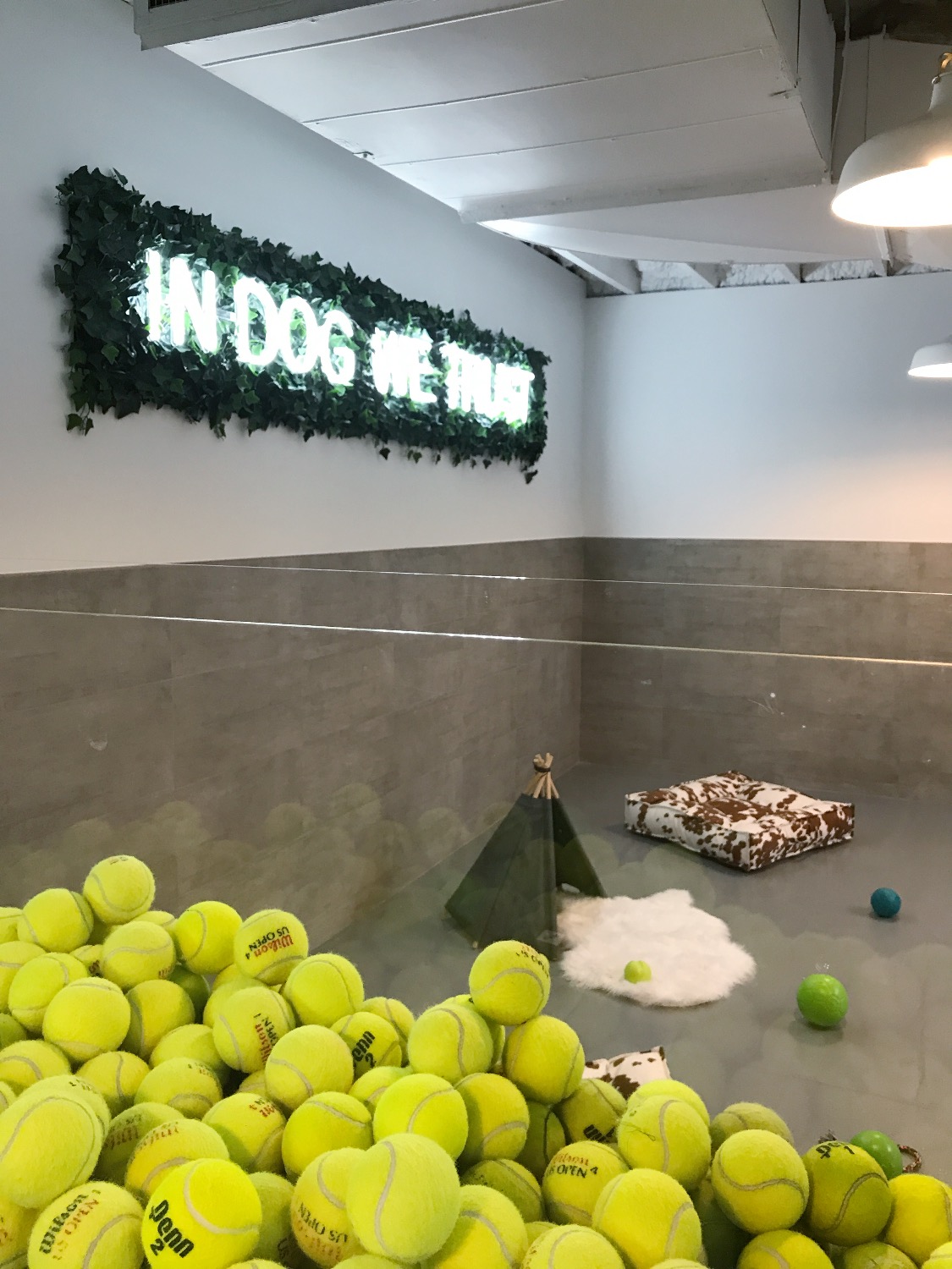 life of riley pet hotel & spa