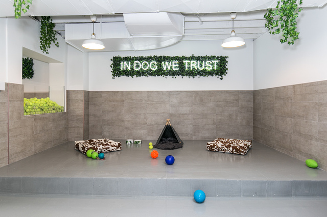 life of riley pet hotel & spa