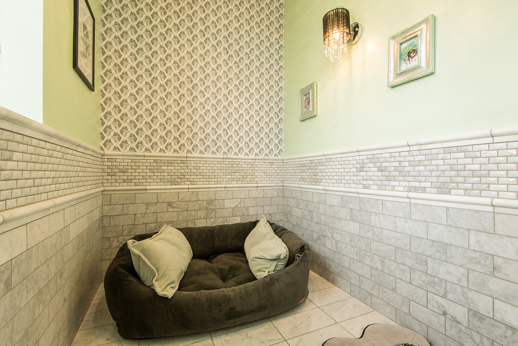 life of riley pet hotel & spa