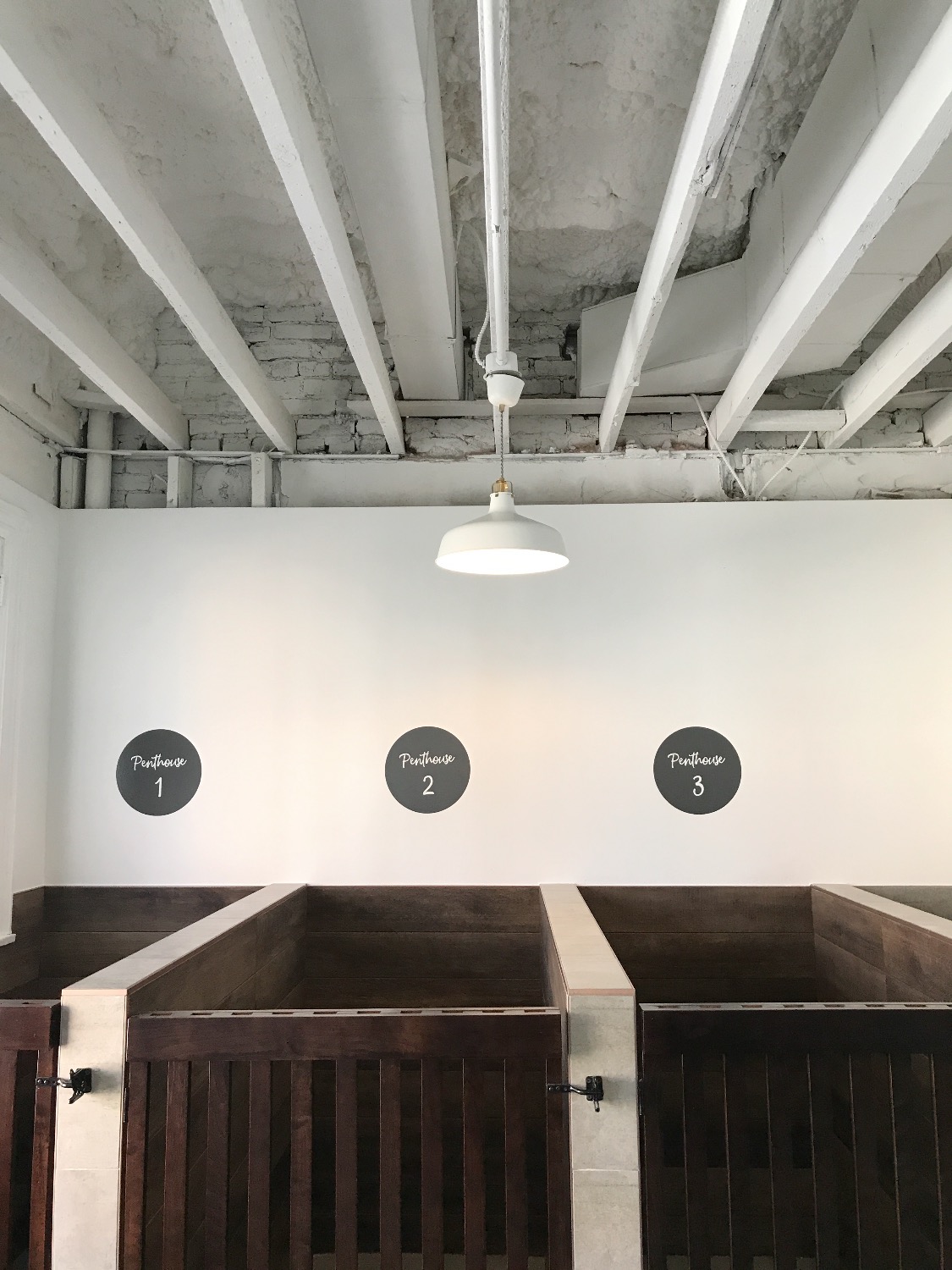 life of riley pet hotel & spa