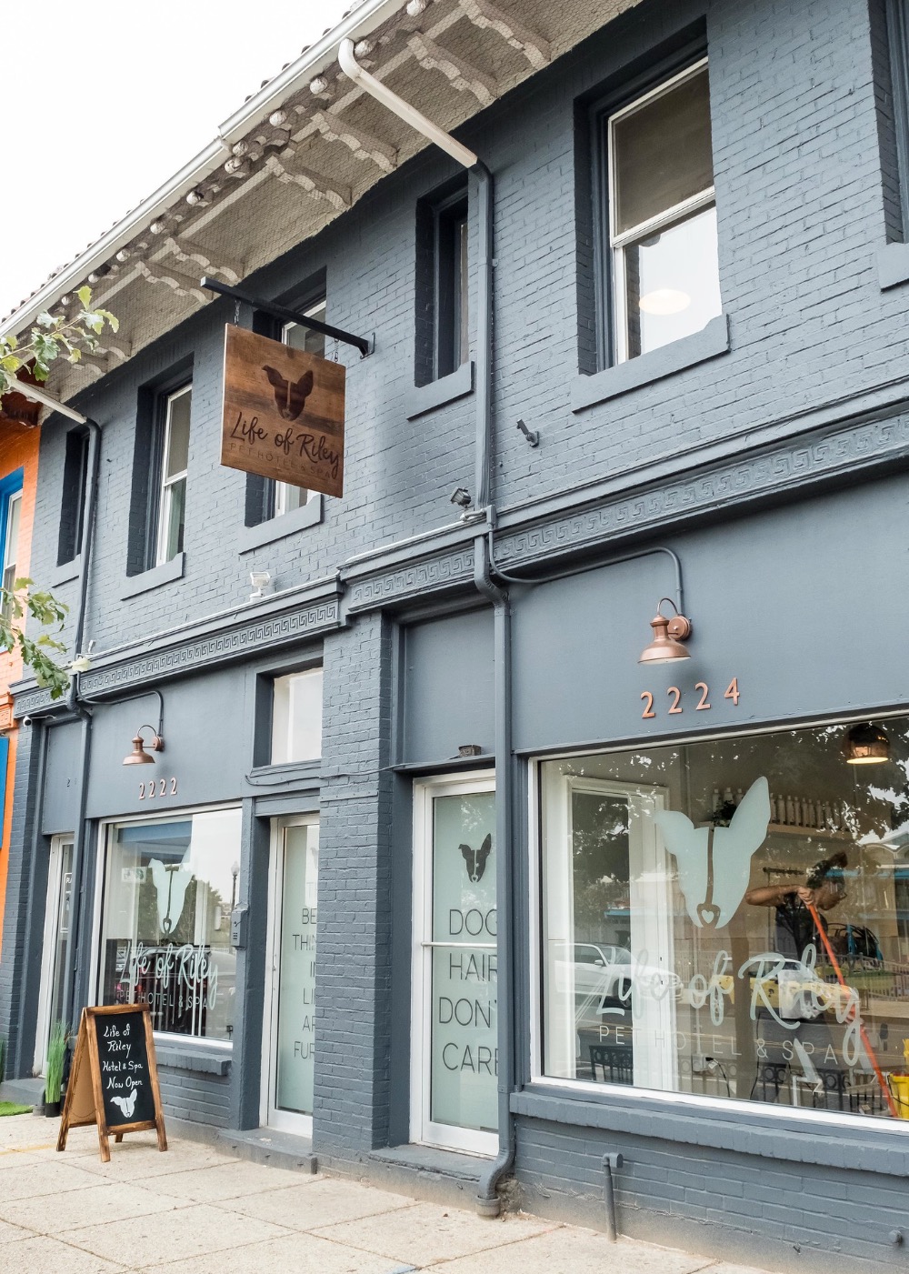 life of riley pet hotel & spa