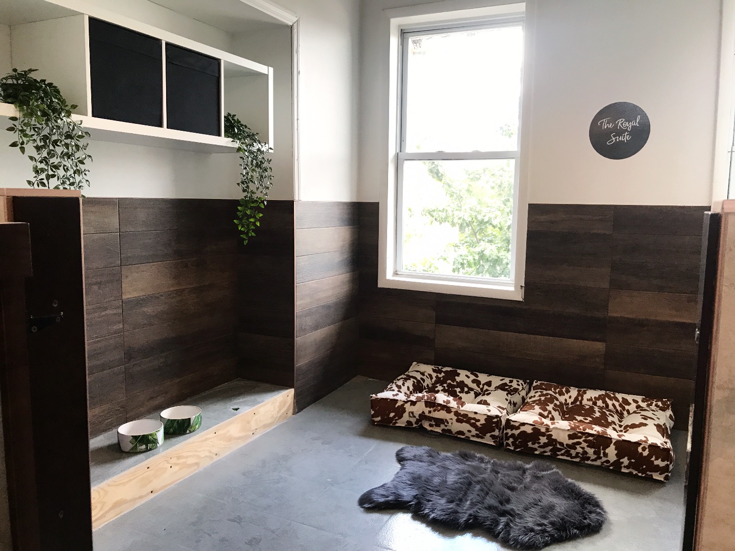 life of riley pet hotel & spa