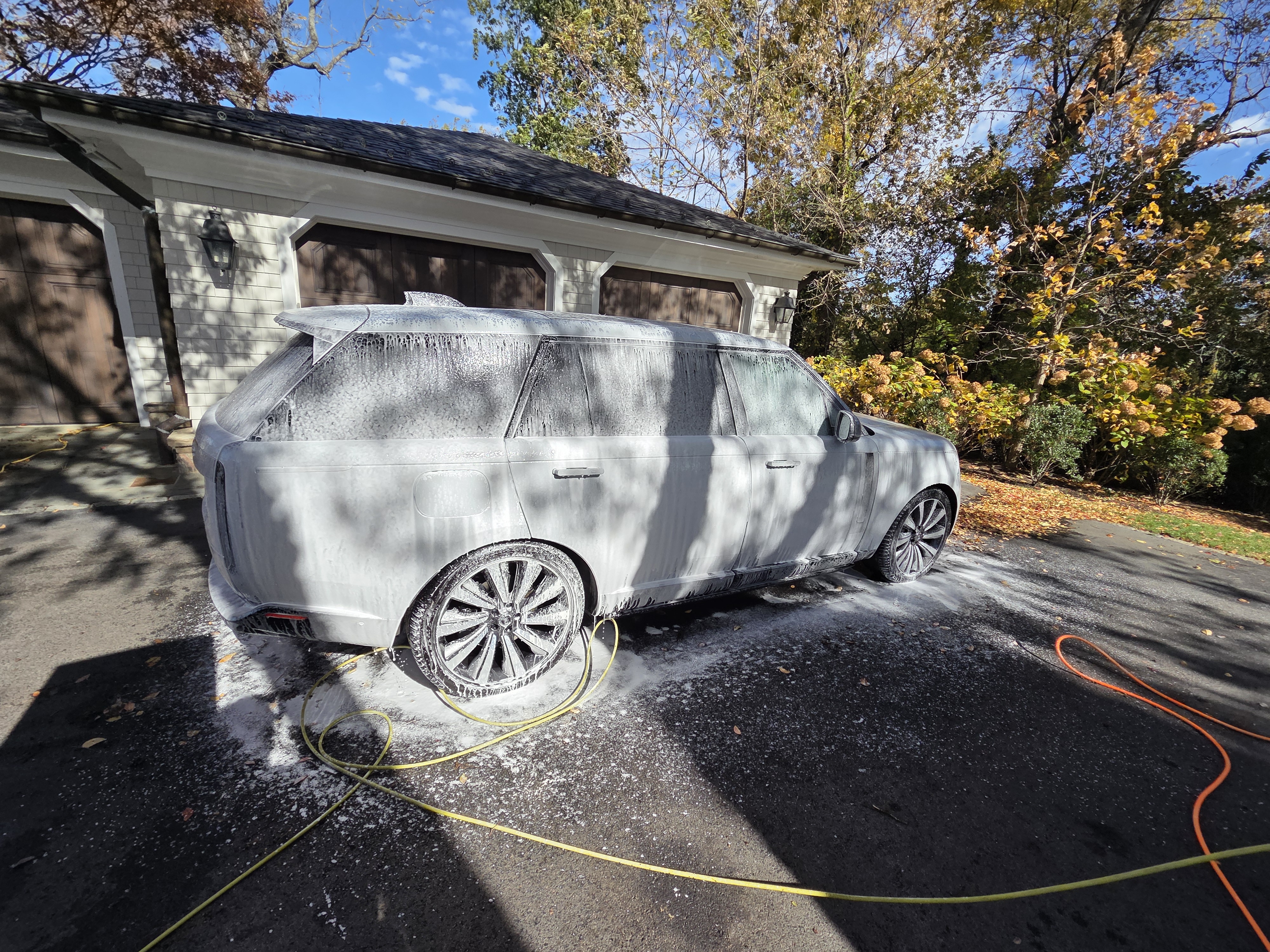 Professional detailing