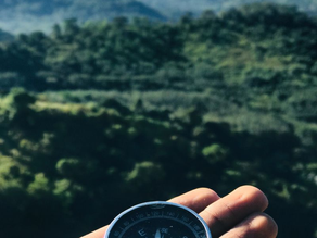 The Compass & the Force Multiplier