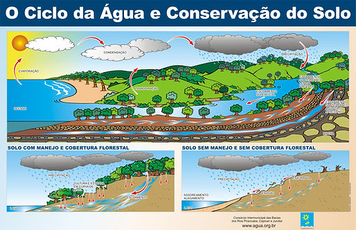 CICLO DA ÁGUA E CONSERVAÇÃO DO SOLO - alta - Andrea Borges - Consórcio PCJ.jpg