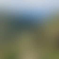 Experiences: The Unpaid Teachers♡