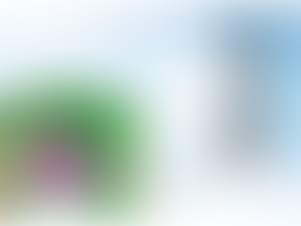 RocketDoc Notes for December 31, 2021