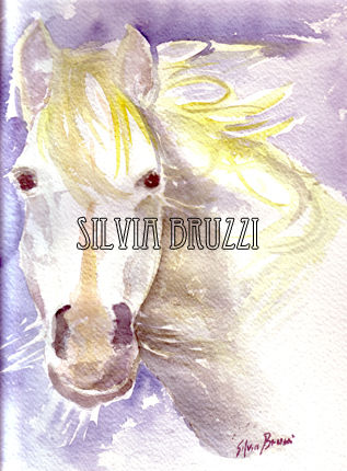 Workshop sul ritratto: Raccontare gli animali
