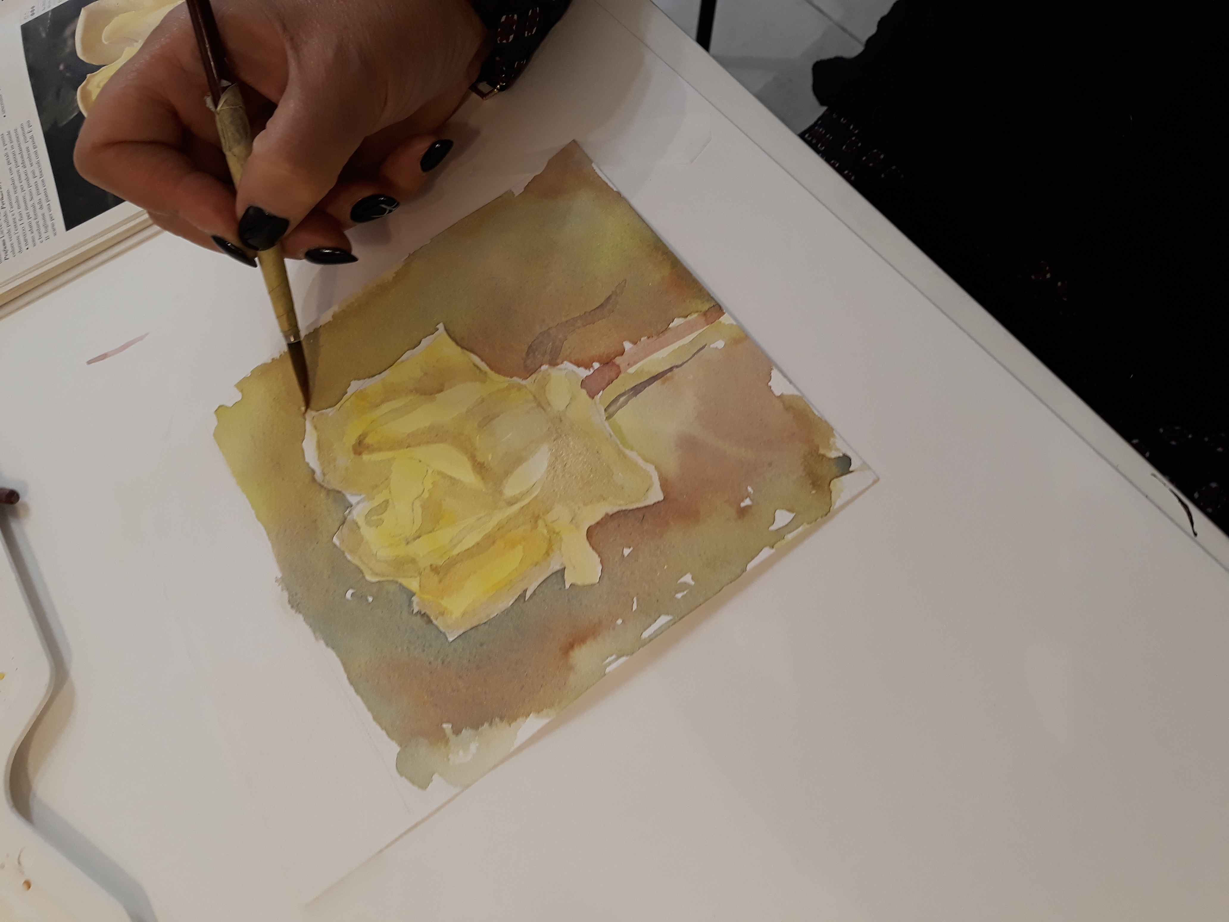 disegno naturalistico
