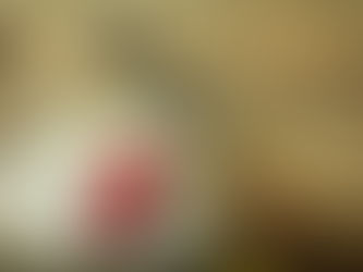 Choosing the right tools