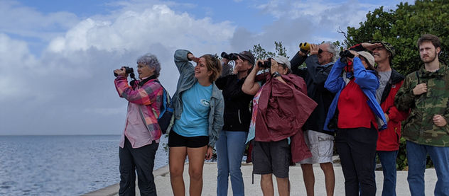 Audubon Bird Count