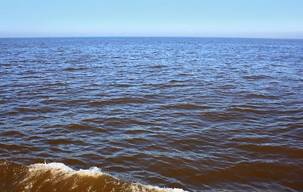 red tide accuweather photo.jpg