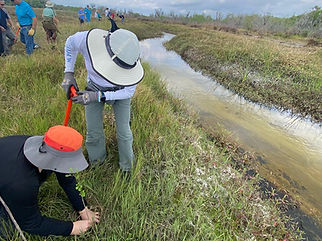 Volunteers planting tree saplings along river