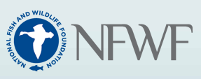 National Coastal Resilience Fund