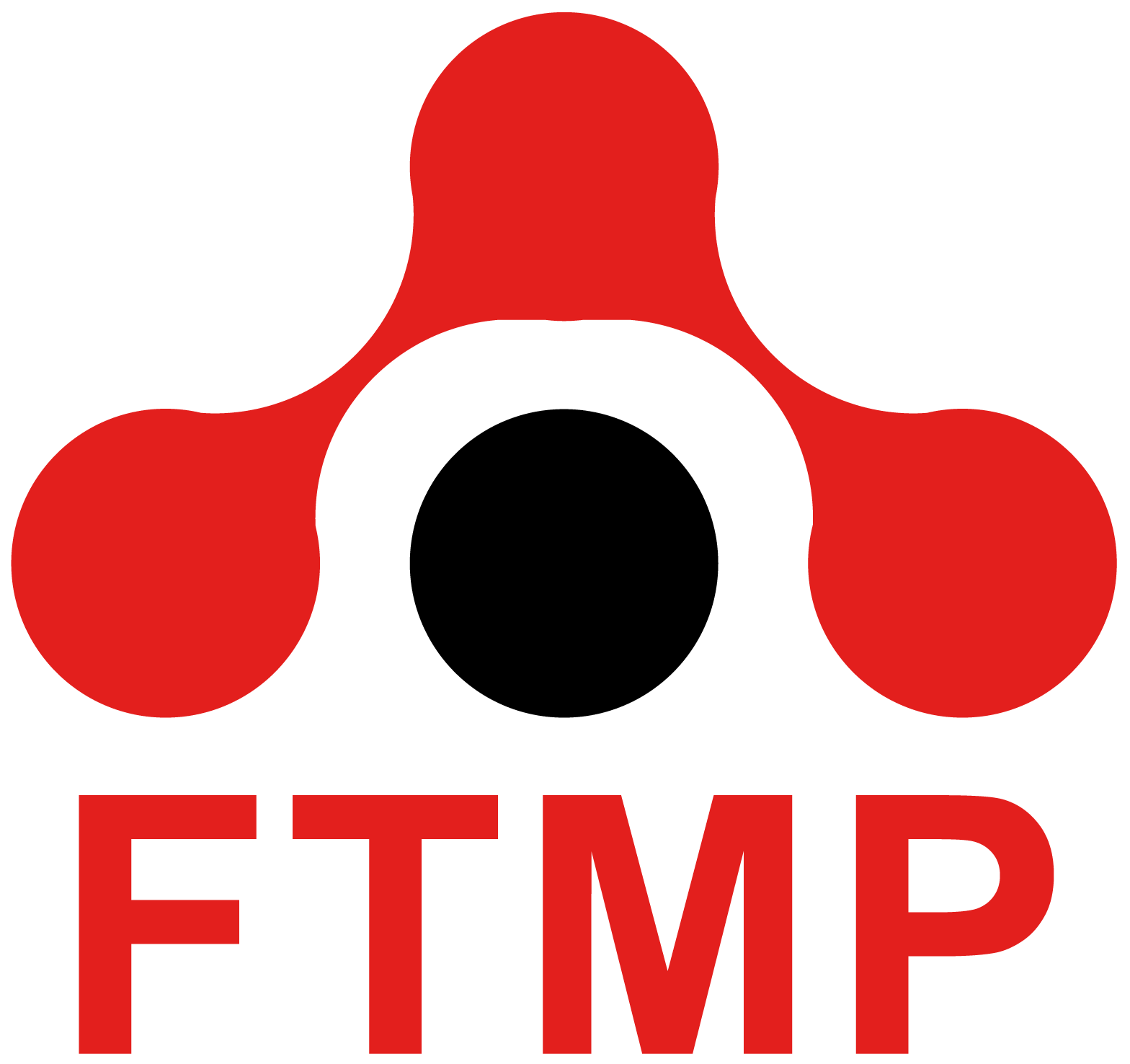 FTMP consulting logo