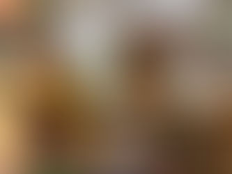 11月21日(金)通常営業