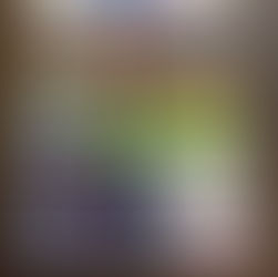 12月9日(火)通常営業