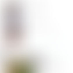 12月6日(土)通常営業