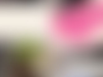 6月2日(月)通常営業