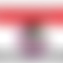 7月19日(日)定休日