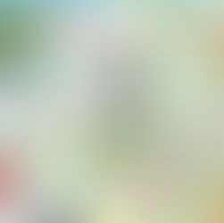 6月12日(金)通常営業