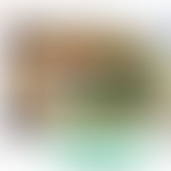 3月24日(火)通常営業