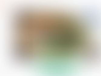 3月24日(火)通常営業