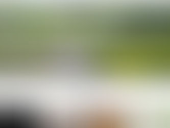 2月20日(金)通常営業