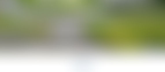 2月20日(金)通常営業