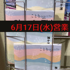 6月17日(水)通常営業